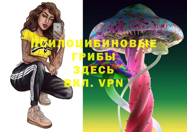герыч Заволжск