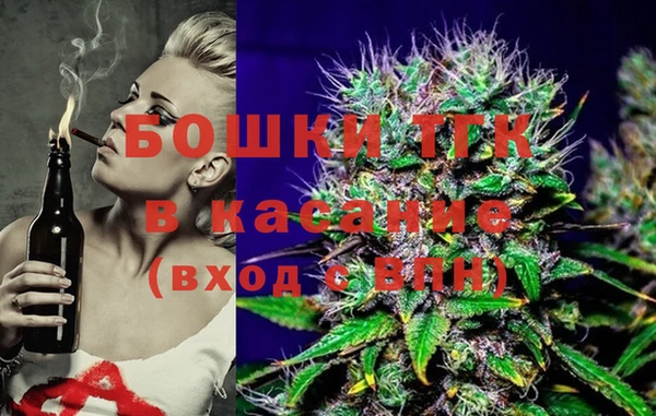шишки Заволжье