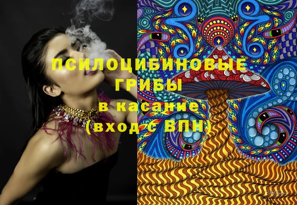 шишки Заволжье