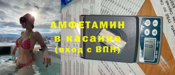 шишки Заволжье
