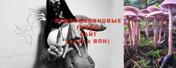 шишки Заволжье