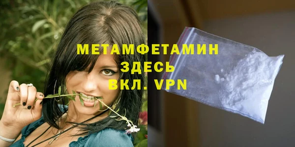 шишки Заволжье